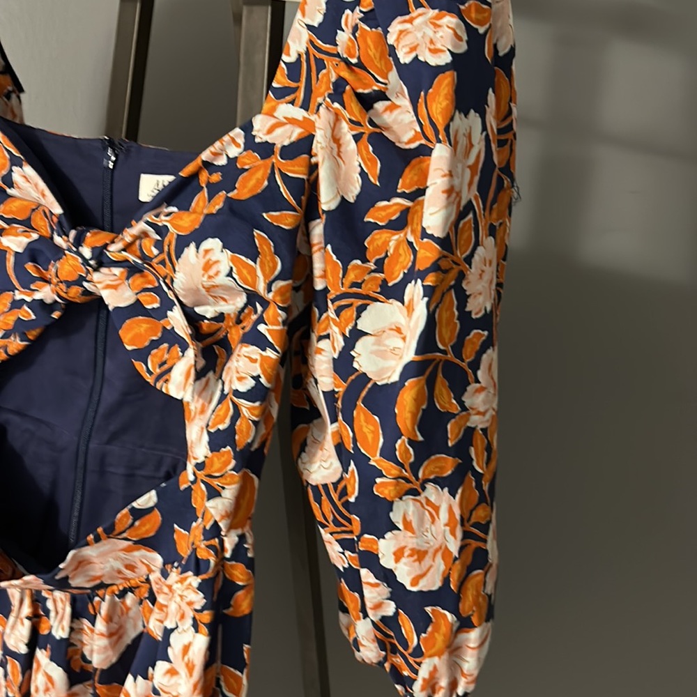 Amur - Picture 3 of 14